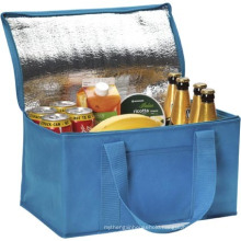 Picnic Cool Ice Bag with Aluminum Foil